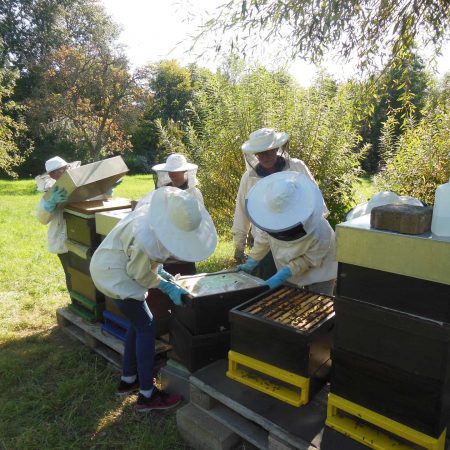 2020-09-14_Imker-AG-1