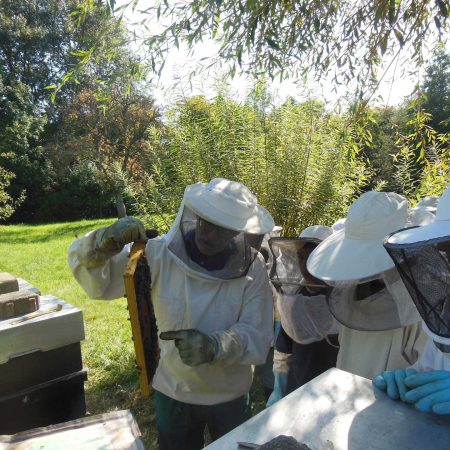 2020-09-14_Imker-AG-3