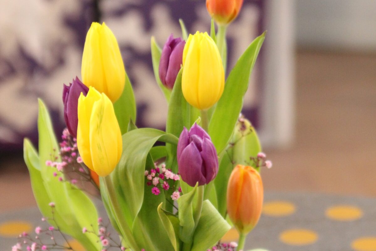 Auf(er)stehen zu Ostern