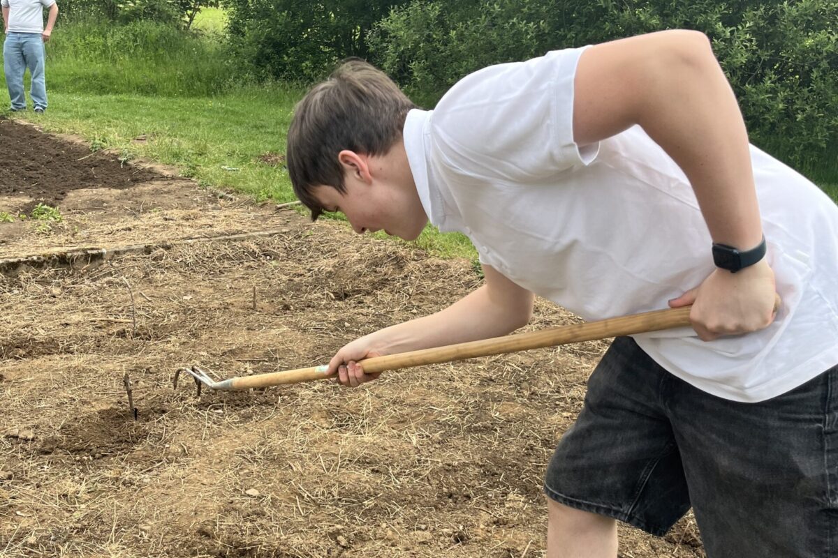 Soll Feld und Garten wohl gedeihn, dann braucht’s im Juni Sonnenschein.